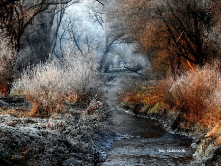 Vadregényes téli táj a Bánpatakon